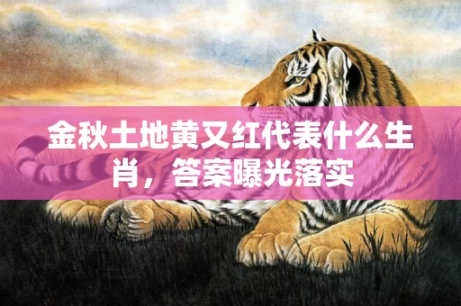 金秋土地黄又红代表什么生肖，答案曝光落实