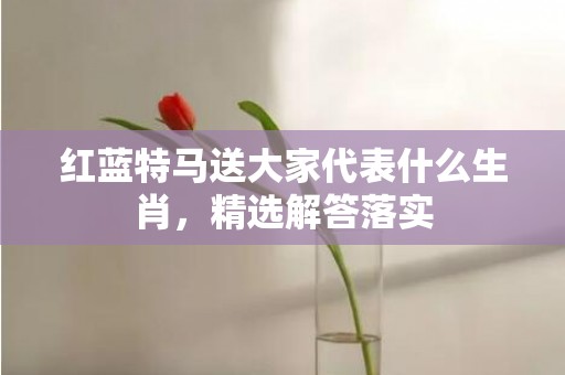 红蓝特马送大家代表什么生肖，精选解答落实