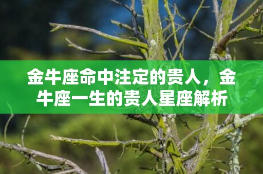 金牛座命中注定的贵人，金牛座一生的贵人星座解析