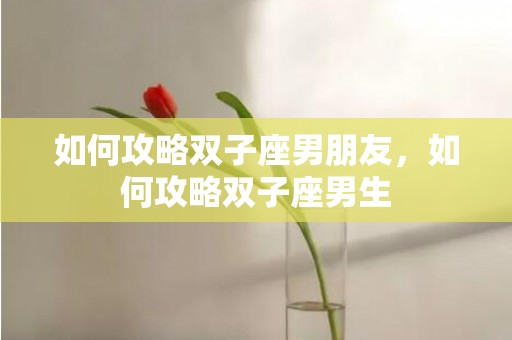 如何攻略双子座男朋友，如何攻略双子座男生