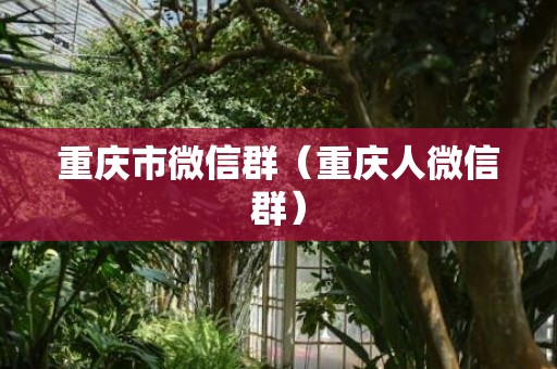 重庆市微信群（重庆人微信群）