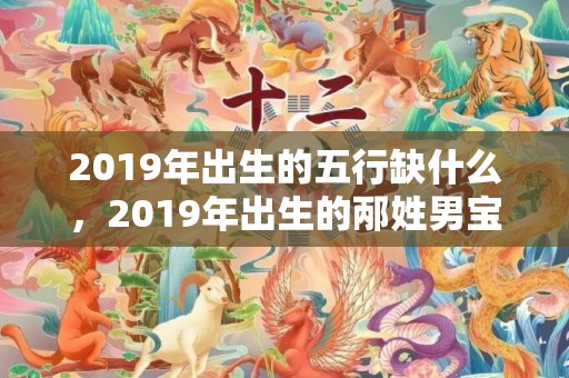 2019年出生的五行缺什么，2019年出生的邴姓男宝宝该如何起名，宜用什么字。