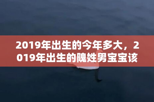 2019年出生的今年多大，2019年出生的隗姓男宝宝该如何起名字，宜用什么字