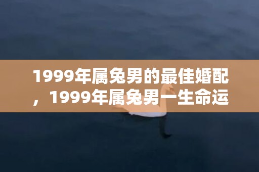 1999年属兔男的最佳婚配，1999年属兔男一生命运