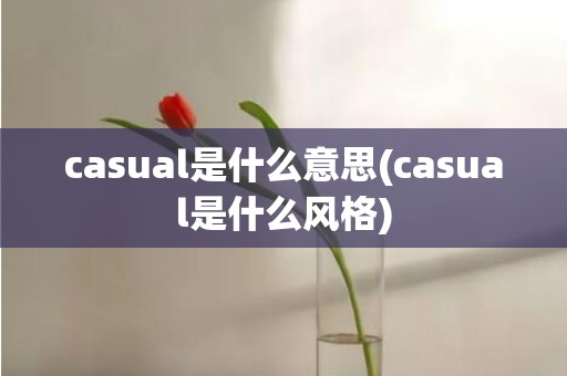 casual是什么意思(casual是什么风格)