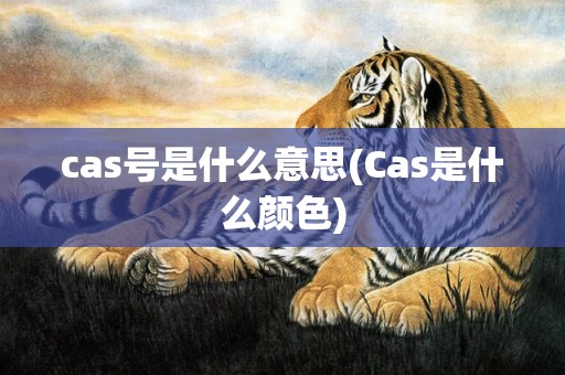 cas号是什么意思(Cas是什么颜色)