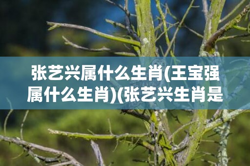 张艺兴属什么生肖(王宝强属什么生肖)(张艺兴生肖是属羊的)