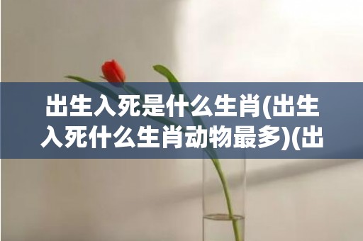 出生入死是什么生肖(出生入死什么生肖动物最多)(出生入死是什么生肖)