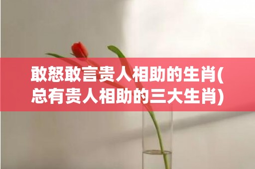 敢怒敢言贵人相助的生肖(总有贵人相助的三大生肖)