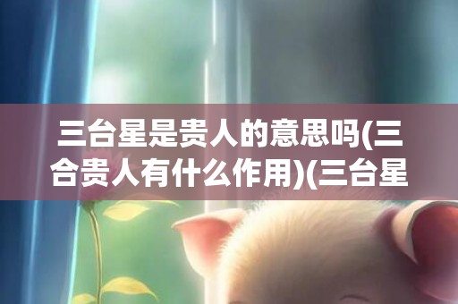 三台星是贵人的意思吗(三合贵人有什么作用)(三台星是贵人的意思吗)