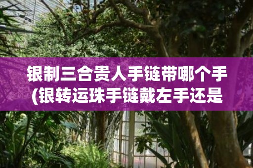 银制三合贵人手链带哪个手(银转运珠手链戴左手还是右手)