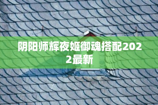 阴阳师辉夜姬御魂搭配2022最新