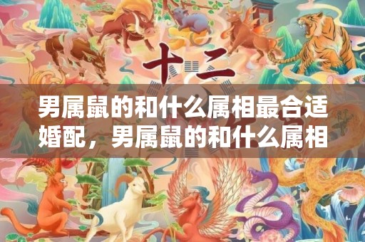 男属鼠的和什么属相最合适婚配，男属鼠的和什么属相最配