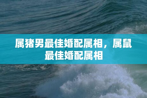 属猪男最佳婚配属相，属鼠最佳婚配属相