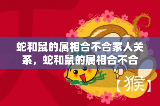 蛇和鼠的属相合不合家人关系，蛇和鼠的属相合不合