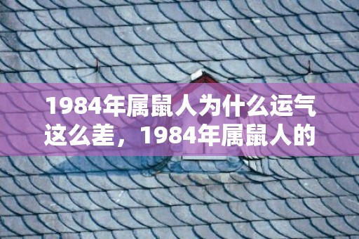 1984年属鼠人为什么运气这么差，1984年属鼠人的运程