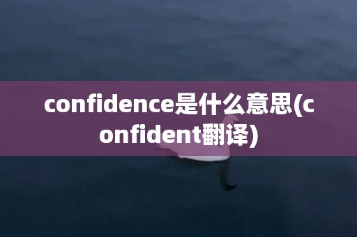 confidence是什么意思(confident翻译)