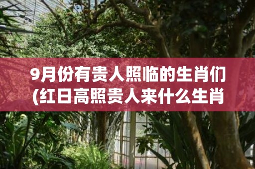 9月份有贵人照临的生肖们(红日高照贵人来什么生肖)