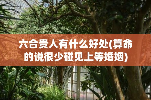 六合贵人有什么好处(算命的说很少碰见上等婚姻)