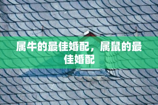 属牛的最佳婚配，属鼠的最佳婚配