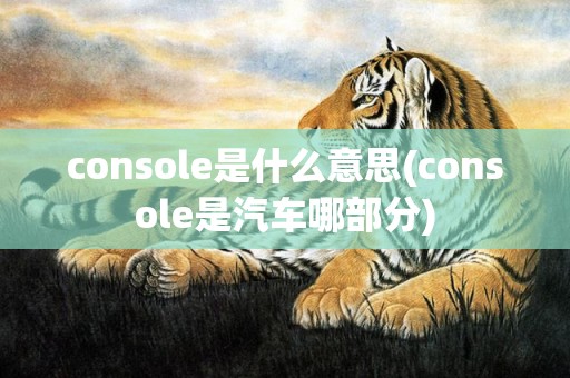 console是什么意思(console是汽车哪部分)