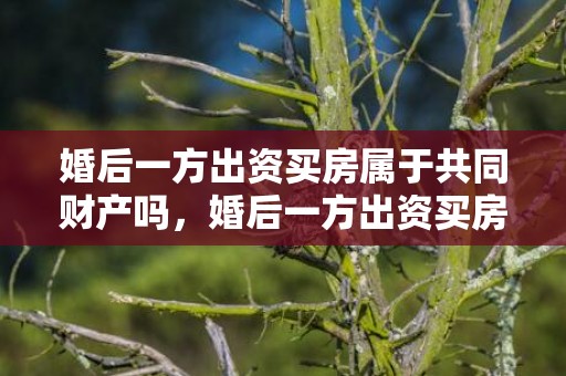 婚后一方出资买房属于共同财产吗，婚后一方出资买房写一方名字属于共同财产吗？婚后买房怎么才能算个人财产