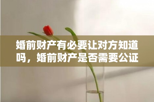 婚前财产有必要让对方知道吗，婚前财产是否需要公证