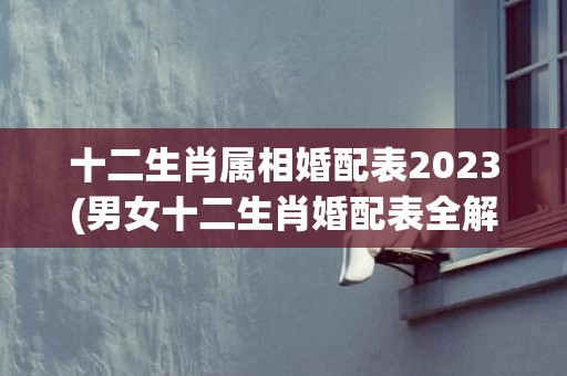 十二生肖属相婚配表2023(男女十二生肖婚配表全解)(十二生肖属相婚配大全)