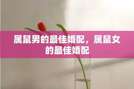属鼠男的最佳婚配，属鼠女的最佳婚配