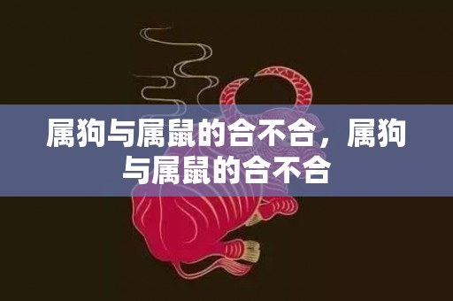 属狗与属鼠的合不合，属狗与属鼠的合不合