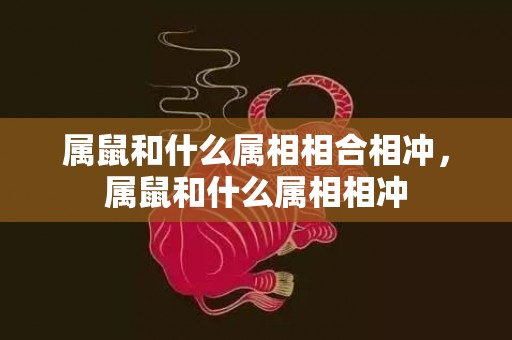 属鼠和什么属相相合相冲，属鼠和什么属相相冲