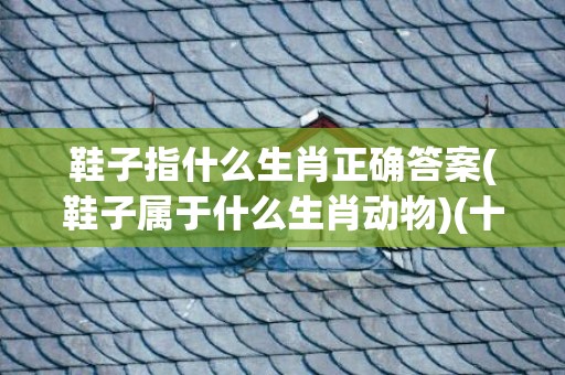 鞋子指什么生肖正确答案(鞋子属于什么生肖动物)(十二生肖鞋子代表什么生肖)