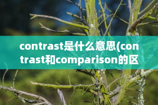contrast是什么意思(contrast和comparison的区别)