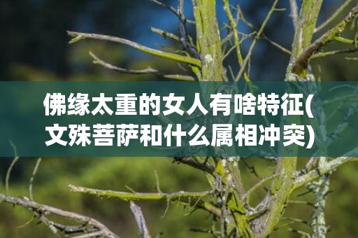 佛缘太重的女人有啥特征(文殊菩萨和什么属相冲突)(佛缘太重的女人有啥特点)