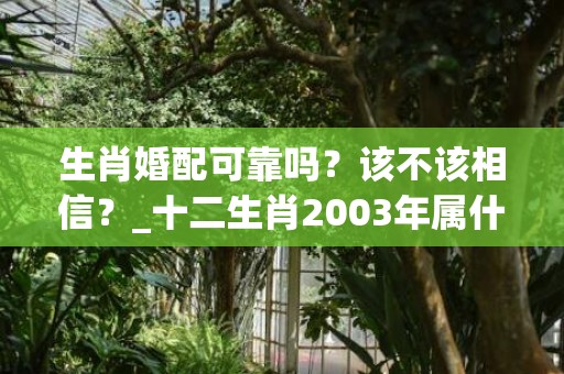 生肖婚配可靠吗？该不该相信？_十二生肖2003年属什么(生肖虎的最佳婚配属相)