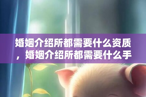 婚姻介绍所都需要什么资质，婚姻介绍所都需要什么手续办理营业执照？民政局婚姻介绍所