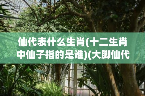 仙代表什么生肖(十二生肖中仙子指的是谁)(大脚仙代表什么生肖)