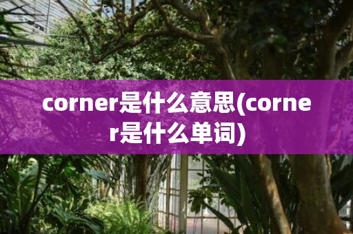 corner是什么意思(corner是什么单词)