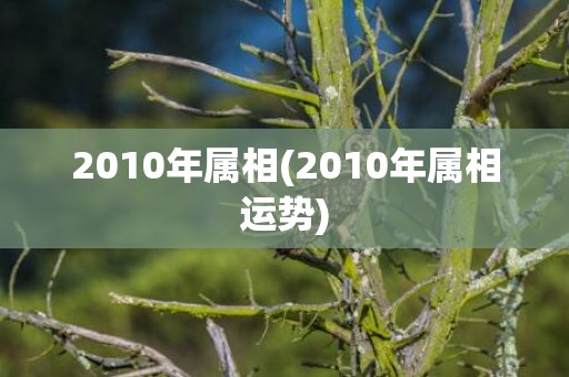 2010年属相(2010年属相运势)