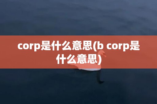 corp是什么意思(b corp是什么意思)