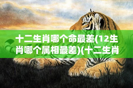 十二生肖哪个命最差(12生肖哪个属相最差)(十二生肖哪个命最短)