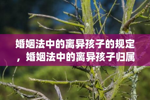 婚姻法中的离异孩子的规定，婚姻法中的离异孩子归属问题怎么解决(离婚孩子的归属权怎么判)