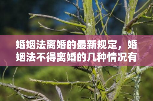 婚姻法离婚的最新规定，婚姻法不得离婚的几种情况有哪些，婚姻法关于夫妻共同财产的规定