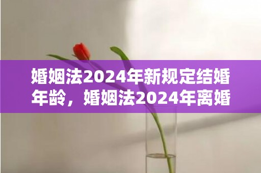 婚姻法2024年新规定结婚年龄，婚姻法2024年离婚财产分割规定最新修订 离婚分割财产的法律规定