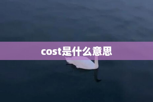 cost是什么意思