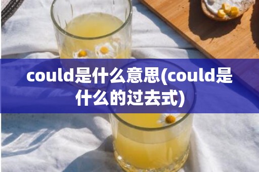 could是什么意思(could是什么的过去式)