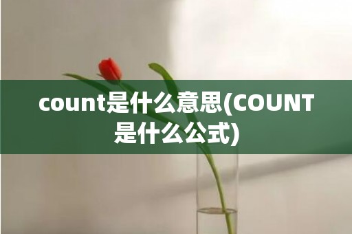 count是什么意思(COUNT是什么公式)