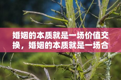 婚姻的本质就是一场价值交换，婚姻的本质就是一场合作吗为什么不能说