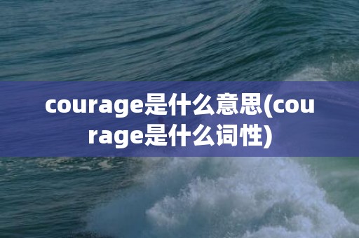 courage是什么意思(courage是什么词性)