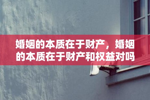 婚姻的本质在于财产，婚姻的本质在于财产和权益对吗